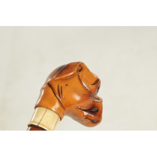 493 - A LATE 19TH CENTURY BOXWOOD CARVED BULLDOG HANDLED WALKING STICK WITH ENCLOSED OPIUM PIPE having har... 