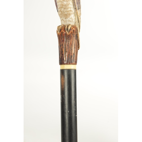 501 - TWO LATE 19TH CENTURY CARVED WOOD WALKING STICKS one modelled as a parrot painted in polychrome colo... 