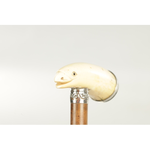 510 - A LATE 19TH CENTURY AMERICAN WHALE TOOTH WALKING STICK with silver mounted Whale's tooth snuff holde... 