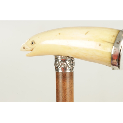 510 - A LATE 19TH CENTURY AMERICAN WHALE TOOTH WALKING STICK with silver mounted Whale's tooth snuff holde... 