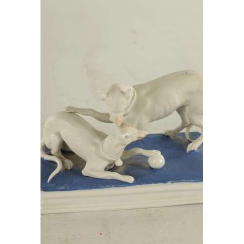 71 - A LATE 19TH CENTURY GERMAN BISQUE PORCELAIN SCULPTURE OF TWO WHIPPETS PLAYING on a blue moulded base... 