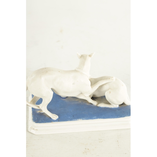 71 - A LATE 19TH CENTURY GERMAN BISQUE PORCELAIN SCULPTURE OF TWO WHIPPETS PLAYING on a blue moulded base... 