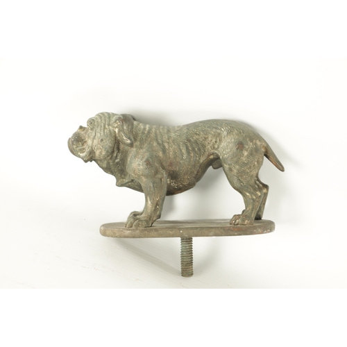 580 - A GOOD QUALITY BRONZE BULLDOG CAR MASCOT BY FINNIGANS, LONDON, the Bergman style bronze bulldog moun... 