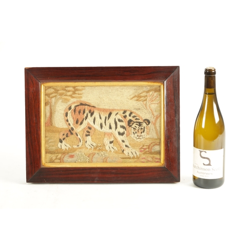 605 - A GOOD 19TH CENTURY EMBROIDERED WOOL WORK PICTURE OF A TIGER after a mezzotint by John Murphy who co... 