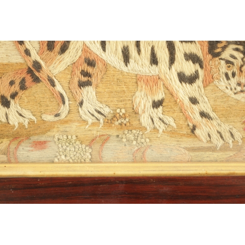 605 - A GOOD 19TH CENTURY EMBROIDERED WOOL WORK PICTURE OF A TIGER after a mezzotint by John Murphy who co... 