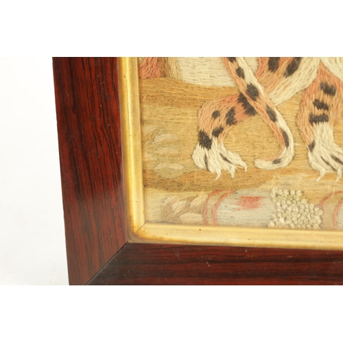 605 - A GOOD 19TH CENTURY EMBROIDERED WOOL WORK PICTURE OF A TIGER after a mezzotint by John Murphy who co... 