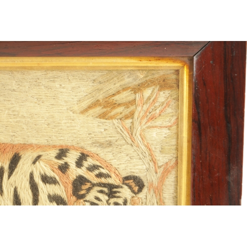 605 - A GOOD 19TH CENTURY EMBROIDERED WOOL WORK PICTURE OF A TIGER after a mezzotint by John Murphy who co... 