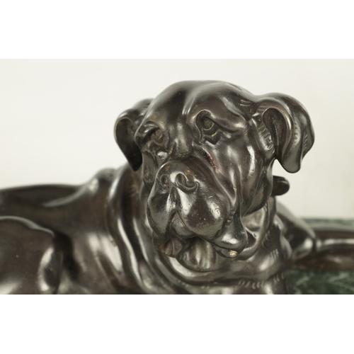 626 - A PAIR OF 19TH CENTURY FRENCH PATINATED BRONZE SCULPTURES OF BULL DOGS mounted on antico verde marbl... 