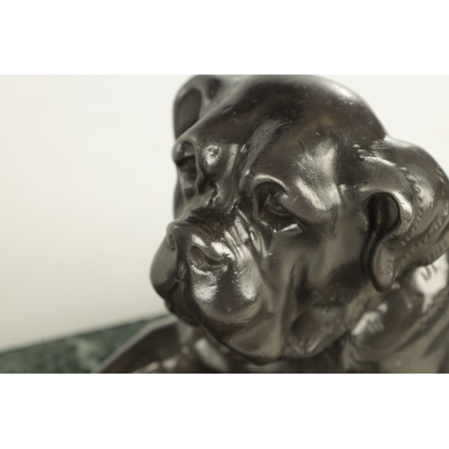 626 - A PAIR OF 19TH CENTURY FRENCH PATINATED BRONZE SCULPTURES OF BULL DOGS mounted on antico verde marbl... 