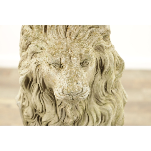 677 - A PAIR OF MODERN COMPOSITE STONE LIONS in seated position raised on square plinth bases (92cm high)