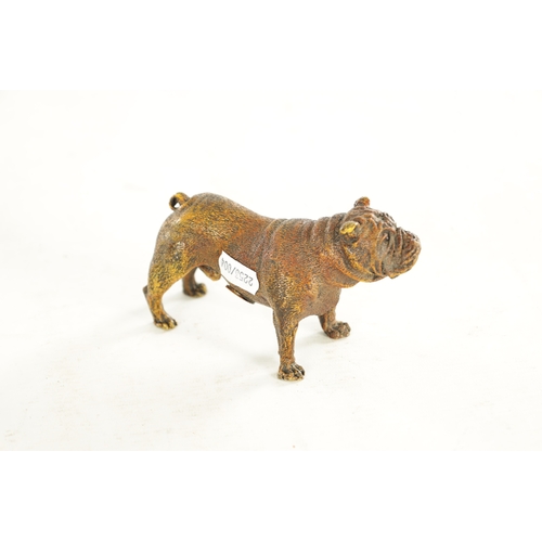 680 - A 20TH CENTURY COLD PAINTED BRONZE SCULPTURE OF A BULLDOG BY BERGMAN bearing the Bergman stamp Gesch... 