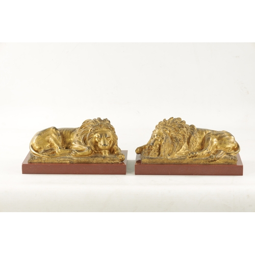 698 - A PAIR OF LATE 19TH CENTURY GILT BRONZE RECUMBENT LIONS mounted on marble plinths (30.5cm wide 16.5c... 