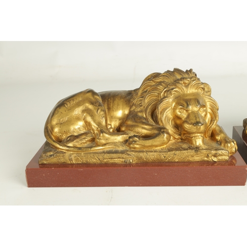 698 - A PAIR OF LATE 19TH CENTURY GILT BRONZE RECUMBENT LIONS mounted on marble plinths (30.5cm wide 16.5c... 