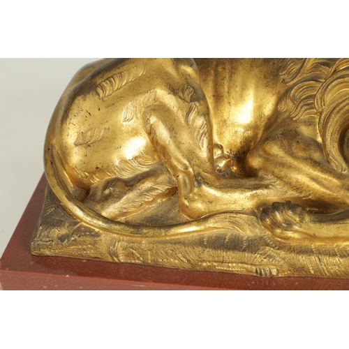 698 - A PAIR OF LATE 19TH CENTURY GILT BRONZE RECUMBENT LIONS mounted on marble plinths (30.5cm wide 16.5c... 