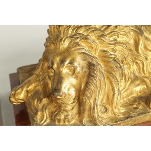 698 - A PAIR OF LATE 19TH CENTURY GILT BRONZE RECUMBENT LIONS mounted on marble plinths (30.5cm wide 16.5c... 