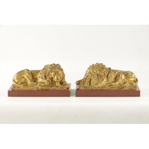 698 - A PAIR OF LATE 19TH CENTURY GILT BRONZE RECUMBENT LIONS mounted on marble plinths (30.5cm wide 16.5c... 