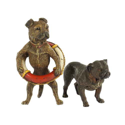 710 - A PAIR OF LATE 19TH CENTURY AUSTRIAN COLD-PAINTED BRONZE DOGS modelled as a pitbull and standing dog... 