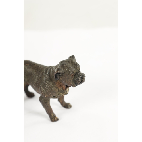 710 - A PAIR OF LATE 19TH CENTURY AUSTRIAN COLD-PAINTED BRONZE DOGS modelled as a pitbull and standing dog... 