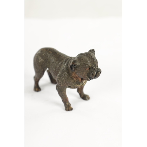 710 - A PAIR OF LATE 19TH CENTURY AUSTRIAN COLD-PAINTED BRONZE DOGS modelled as a pitbull and standing dog... 