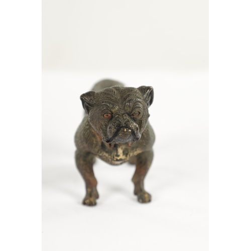 710 - A PAIR OF LATE 19TH CENTURY AUSTRIAN COLD-PAINTED BRONZE DOGS modelled as a pitbull and standing dog... 