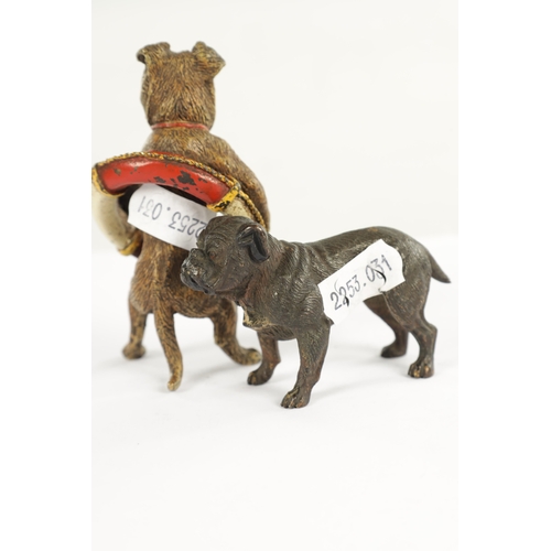 710 - A PAIR OF LATE 19TH CENTURY AUSTRIAN COLD-PAINTED BRONZE DOGS modelled as a pitbull and standing dog... 