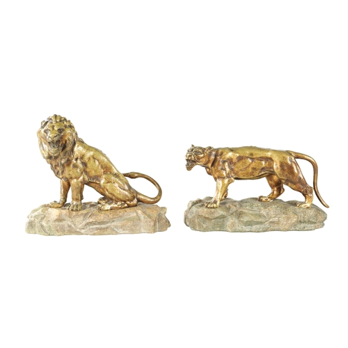 720 - A PAIR OF EARLY 20TH CENTURY GILT BRONZE SCULPTURES depicting a Lion and Lioness on naturalistic mar... 