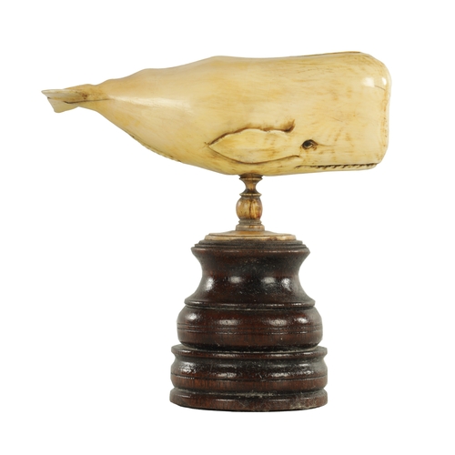 759 - A 19TH CENTURY SCRIMSHAW-CARVED MARINE IVORY SCULPTURE MODELLED AS A SPERM WHALE mounted on a turned... 