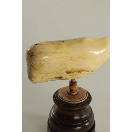 759 - A 19TH CENTURY SCRIMSHAW-CARVED MARINE IVORY SCULPTURE MODELLED AS A SPERM WHALE mounted on a turned... 