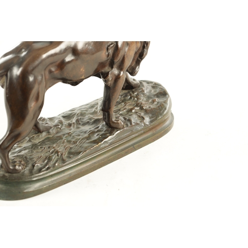 785 - A 19TH CENTURY BROWN PATINATED STANDING BRONZE LION on a naturalistic, earthy base and plain moulded... 