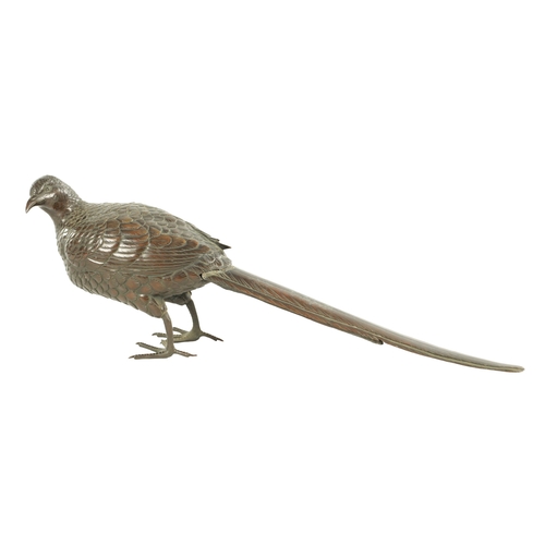 786 - A 19TH CENTURY BRONZE BIRD SCULPTURE of a standing pheasant (44.5cm length and 15cm high)