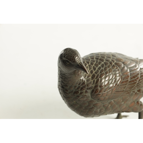 786 - A 19TH CENTURY BRONZE BIRD SCULPTURE of a standing pheasant (44.5cm length and 15cm high)