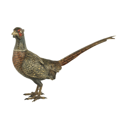 793 - AN EARLY 20TH CENTURY BERGMAN TYPE COLD PAINTED BRONZE SCULPTURE modelled as a cock pheasant. (16cm ... 