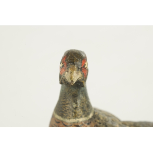 793 - AN EARLY 20TH CENTURY BERGMAN TYPE COLD PAINTED BRONZE SCULPTURE modelled as a cock pheasant. (16cm ... 