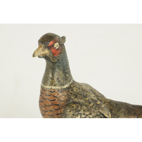 793 - AN EARLY 20TH CENTURY BERGMAN TYPE COLD PAINTED BRONZE SCULPTURE modelled as a cock pheasant. (16cm ... 