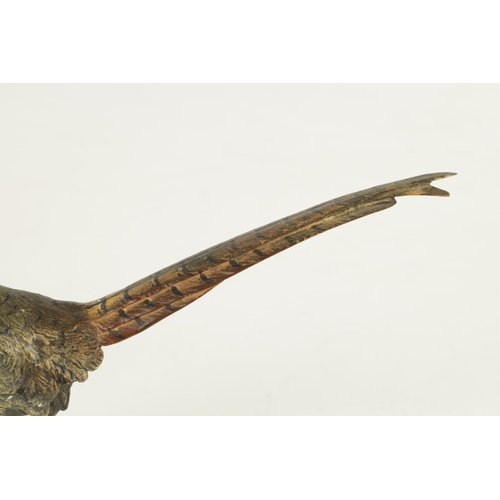 793 - AN EARLY 20TH CENTURY BERGMAN TYPE COLD PAINTED BRONZE SCULPTURE modelled as a cock pheasant. (16cm ... 