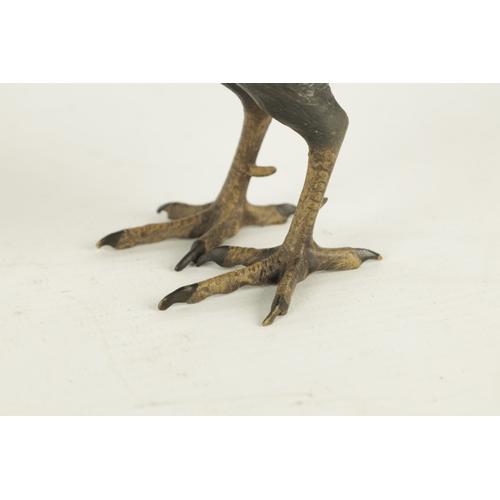 793 - AN EARLY 20TH CENTURY BERGMAN TYPE COLD PAINTED BRONZE SCULPTURE modelled as a cock pheasant. (16cm ... 