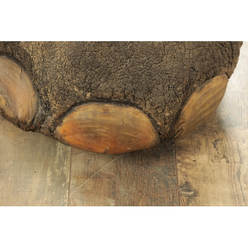 802 - A LARGE LATE 19TH CENTURY TAXIDERMY ELEPHANT FOOTSTOOL (55cm wide 43cm high)