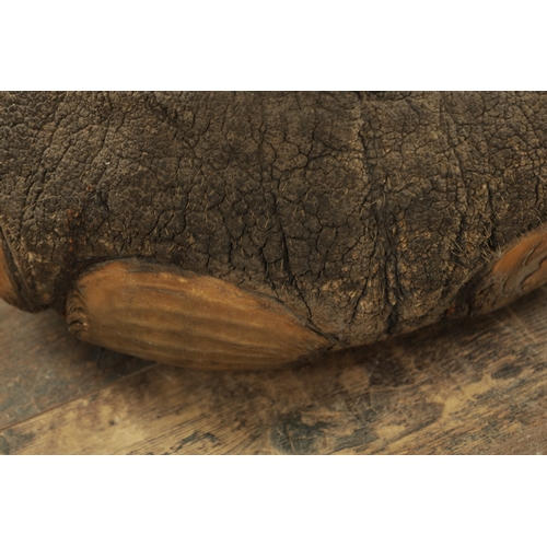 802 - A LARGE LATE 19TH CENTURY TAXIDERMY ELEPHANT FOOTSTOOL (55cm wide 43cm high)