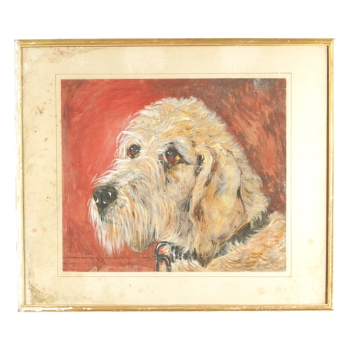 811 - A 19TH CENTURY WATERCOLOUR head of an Irish Wolfhound depicted on a gridwork backing. Mounted and in... 