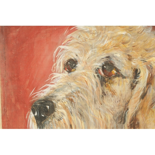 811 - A 19TH CENTURY WATERCOLOUR head of an Irish Wolfhound depicted on a gridwork backing. Mounted and in... 