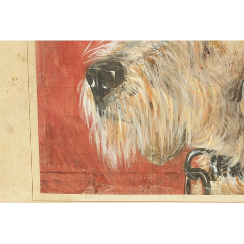 811 - A 19TH CENTURY WATERCOLOUR head of an Irish Wolfhound depicted on a gridwork backing. Mounted and in... 