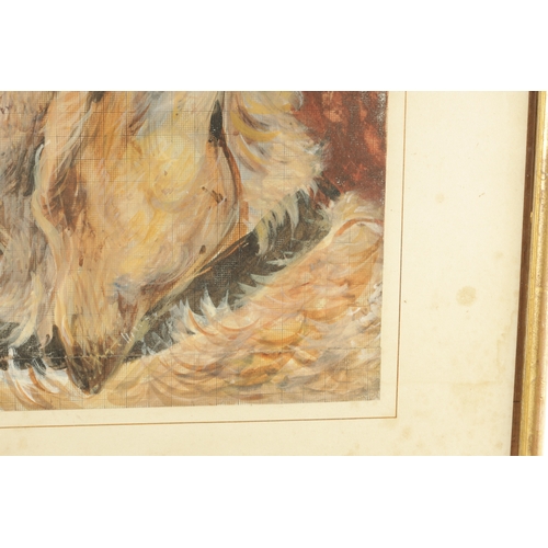 811 - A 19TH CENTURY WATERCOLOUR head of an Irish Wolfhound depicted on a gridwork backing. Mounted and in... 