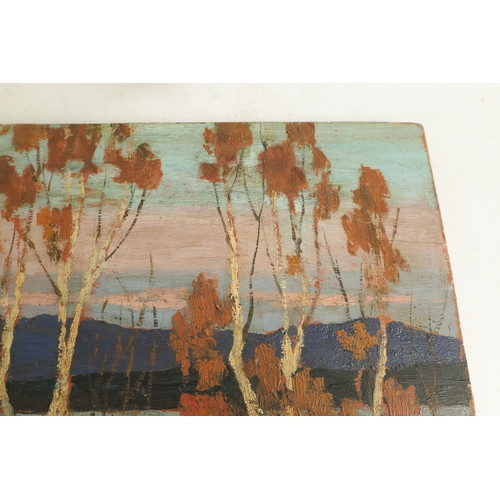 843 - ATT. TOM THOMSON (CANADIAN 1877-1917) OIL ON PANEL depicting an autumn tree-lined mountainous river ... 