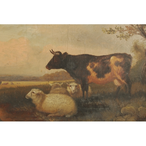 845 - M. JACKSON A LATE 19TH CENTURY OIL ON BOARD CATTLE AND SHEEP IN A LANDSCAPE signed - gilt moulded fr... 