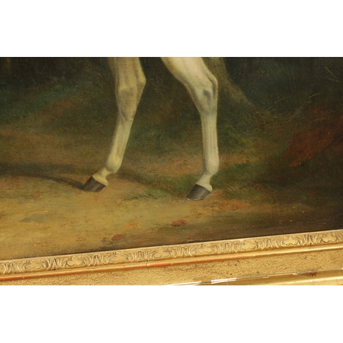 879 - SIR JOHN DEAN PAUL (1775 - 1852). AN EARLY 19TH CENTURY OIL ON CANVAS depicting two horse with rider... 