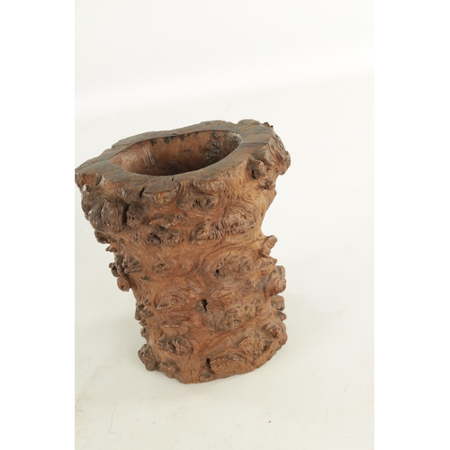 895 - A 19TH CENTURY ROOT WOOD DUG OUT VASE (19.5cm high )