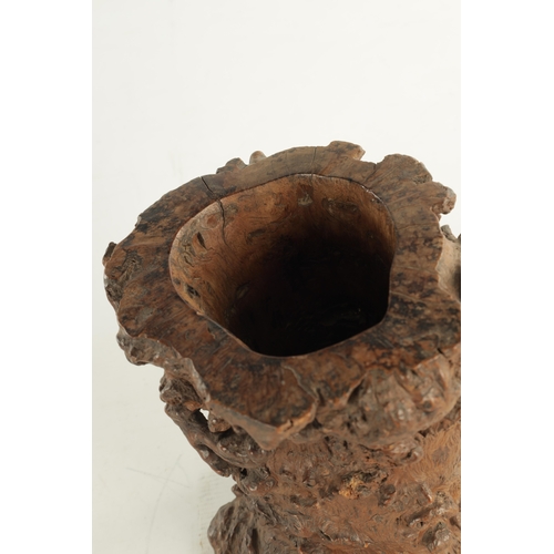 895 - A 19TH CENTURY ROOT WOOD DUG OUT VASE (19.5cm high )