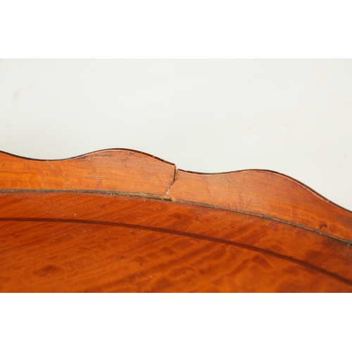 903 - A LATE 19TH CENTURY PAINTED SATINWOOD OVAL TRAY with shaped gallery and brass side handles. (65cm wi... 