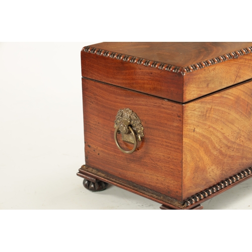 929 - A WILLIAM IV FIGURED MAHOGANY TEA CADDY with moulded edge and bun feet; having a fully fitted interi... 