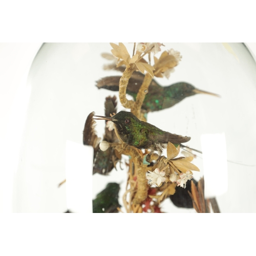 1098 - A LATE 19TH CENTURY FRENCH ROTATING TAXIDERMY BIRD CLOCK, having hummingbirds perched on a central r... 